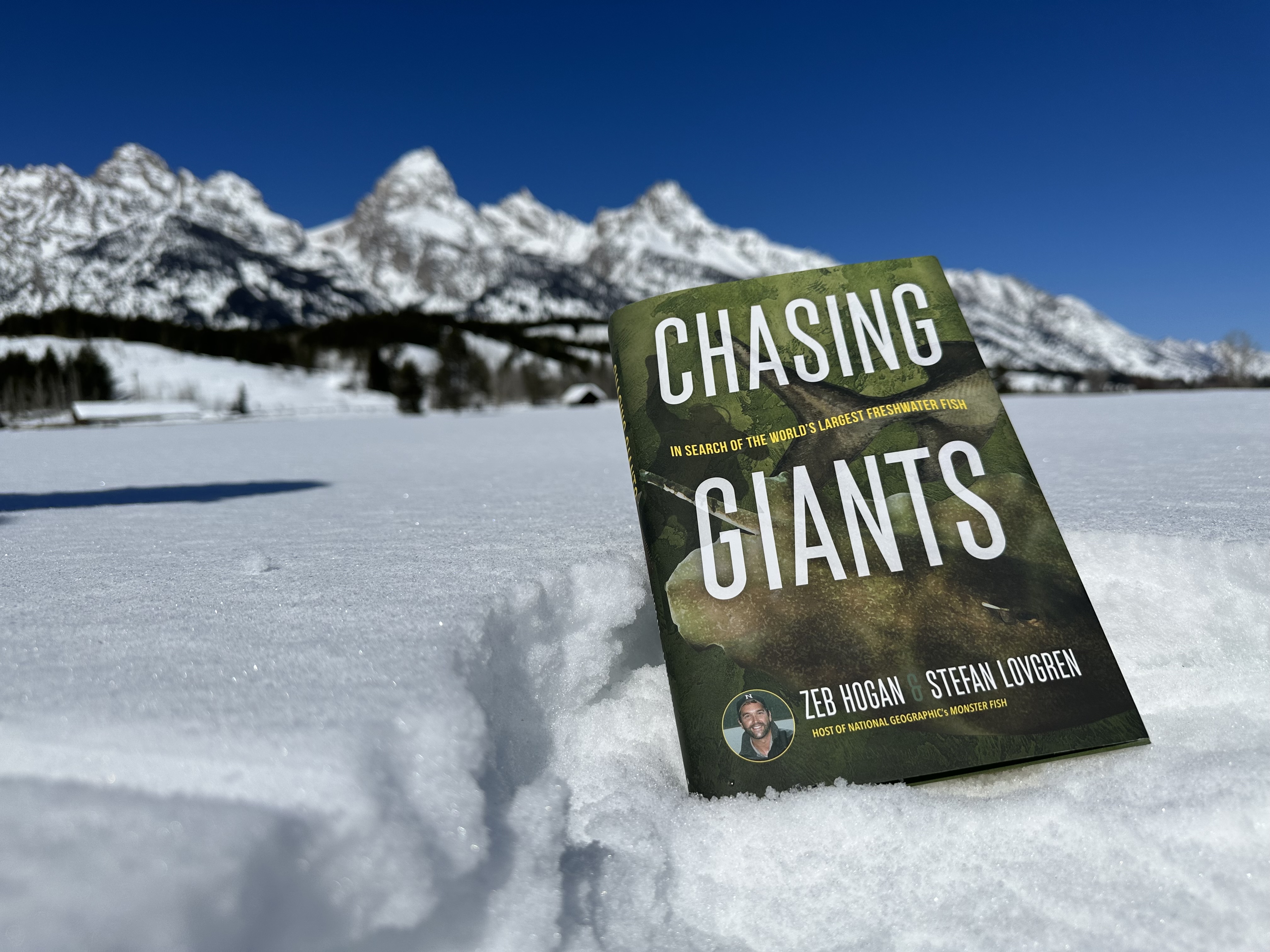 Chasing Giants book by Zeb Hogan and Stefan Lovgren