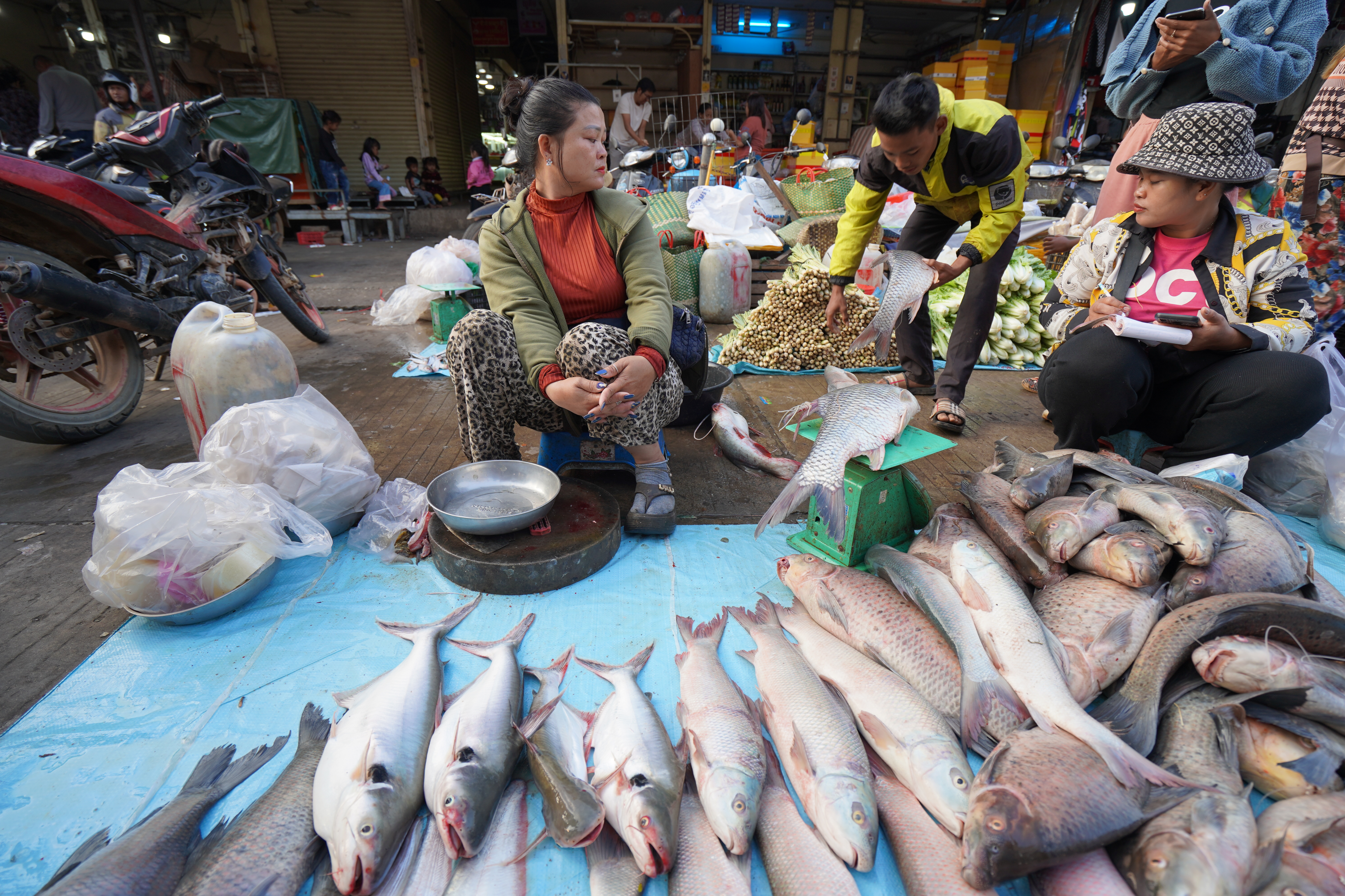 Fish market in Stung Treng, Cambodia